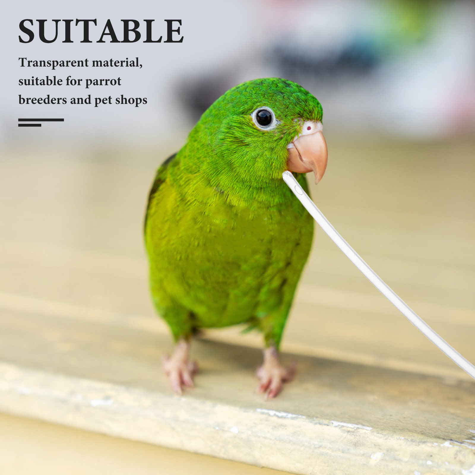 10Pcs Clear Soft Parrot Feeder - Baby Food Youtube recension och pris